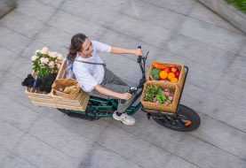 Qual è la migliore bici cargo elettrica